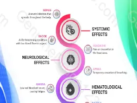 Meropenem Side Effects: Comprehensive Guide